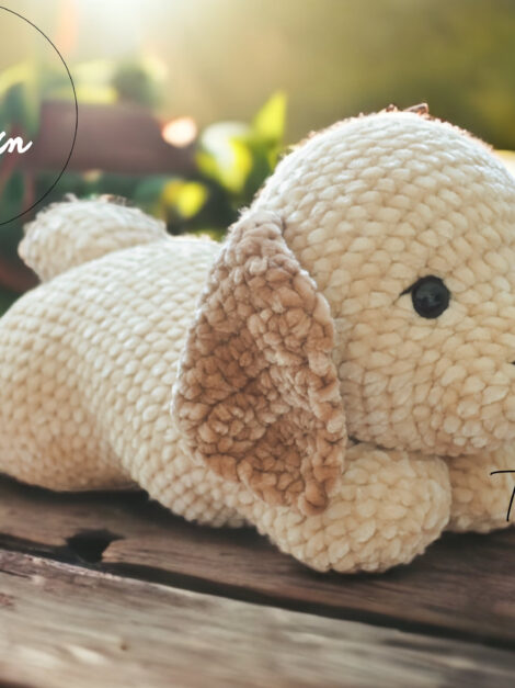 Golden Retriever (1)