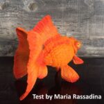 Goldfish 8
