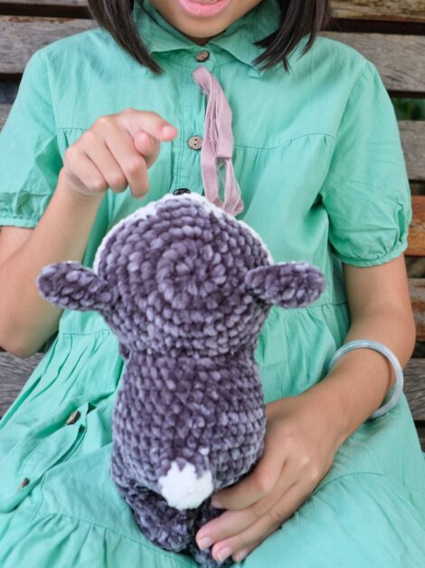 Little Husky 6 scaled