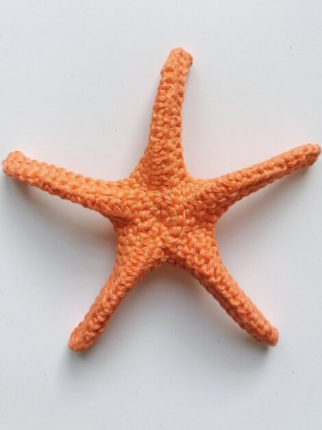 Star Fish 2