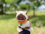 Toby siamese cat 1