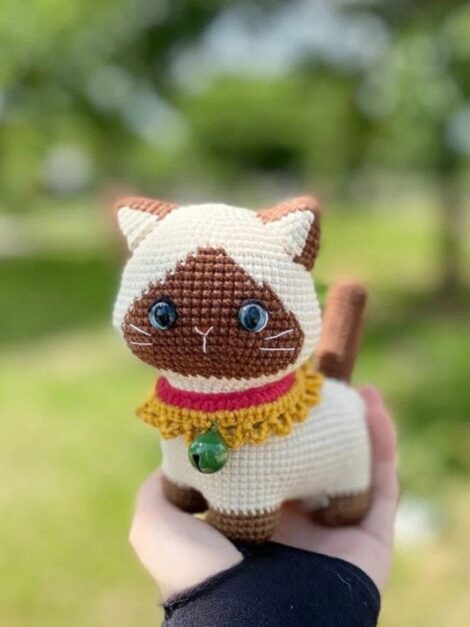 Toby siamese cat 1