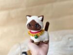 Toby siamese cat 2