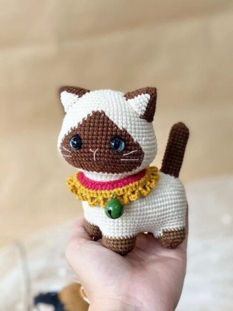 Toby siamese cat (2)