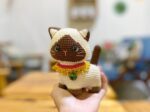 Toby siamese cat 3