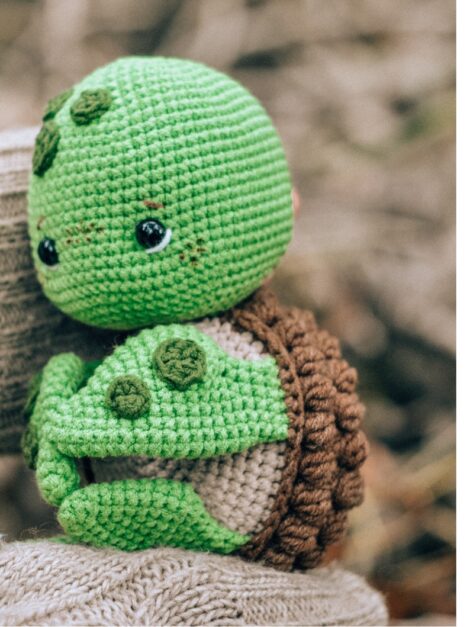 Turtle Cute (1)
