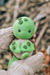 Turtle Cute 3