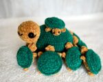 Turtle Memory 2