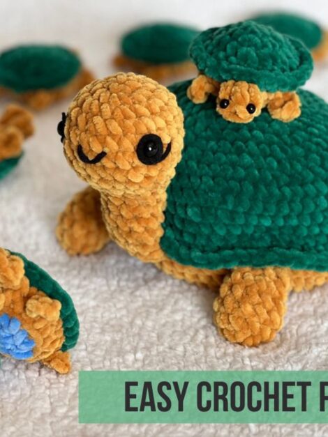 Turtle Memory (3)